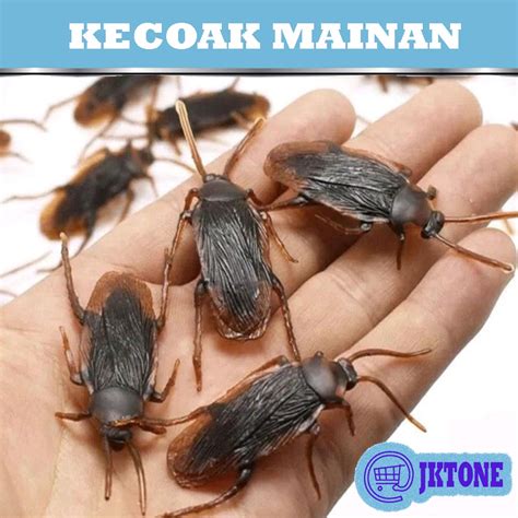 bag of fake cockroaches|rubber cockroaches.